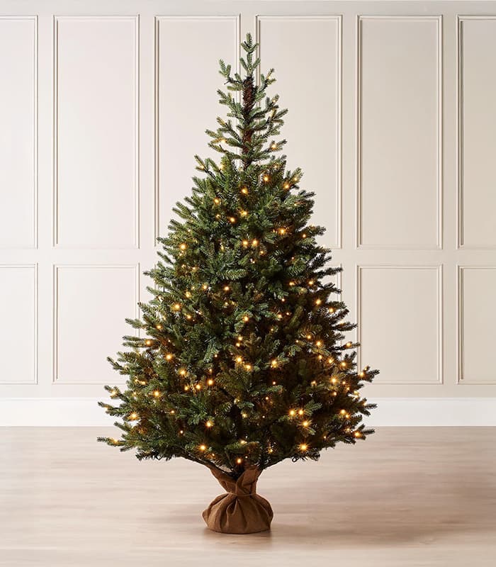 outdoor water fountain basins - Expert Guide and Reviews