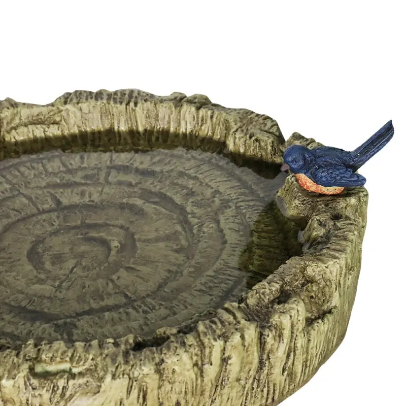 succulent birdbath - Expert Guide and Review