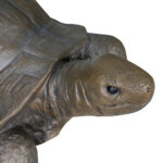 Fiber Concrete Turtles Garden Decoration-29.5"L - Image 5