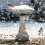 22.8" Modern Concrete Pedestal Birdbath – Fiber Reinforced Outdoor Bird Feeder & Bath - Image 2