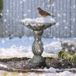 24.8" Gray Concrete Bird Bath with Pineapple Base - Outdoor Yard Garden Decor - Image 2