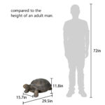 Fiber Concrete Turtles Garden Decoration-29.5"L - Image 6